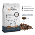 Platinum Vetactive Senior Magirefti (FSG) Xira Trofi Ilikiomenou Skulou 1,5kg
